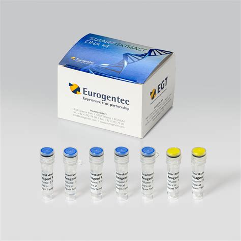 dna isolation kit